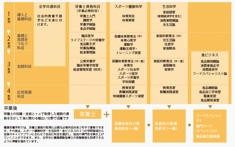 食物栄養学科の学びのイメージ