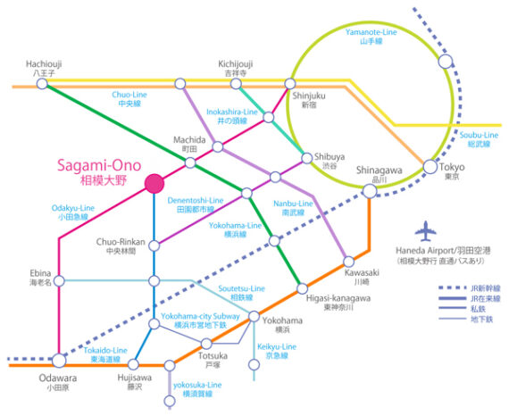 Sagami Women S University Elementary School 相模女子大学小学部